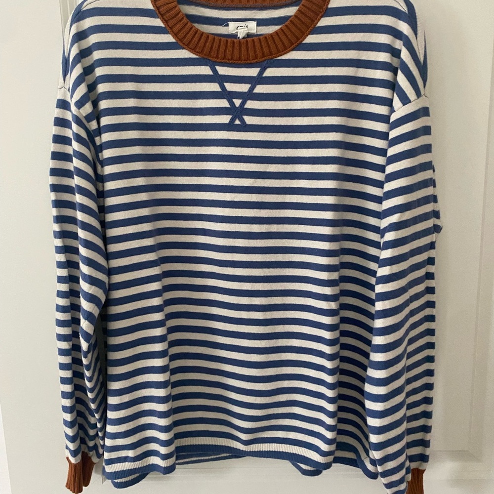 aerie Menâs Blue & White Striped Crewneck Sweater with Brown Trim